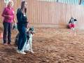 École d'éducation canine Jerry&Lewis au Salon Equin'essence 2022