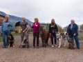 Salon-bien-etre-2022-Chiens-poney