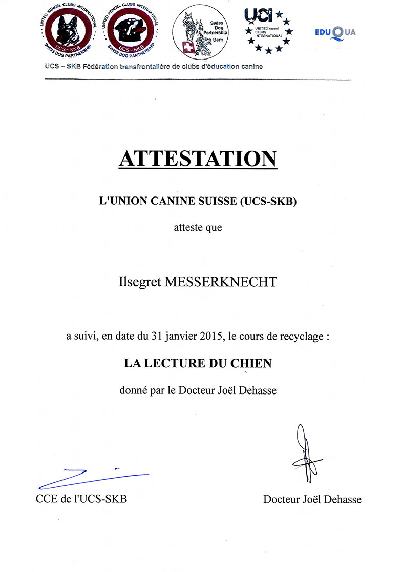 DIC Recyclage-Attestation-Formation Dehasse-Lecture du chien