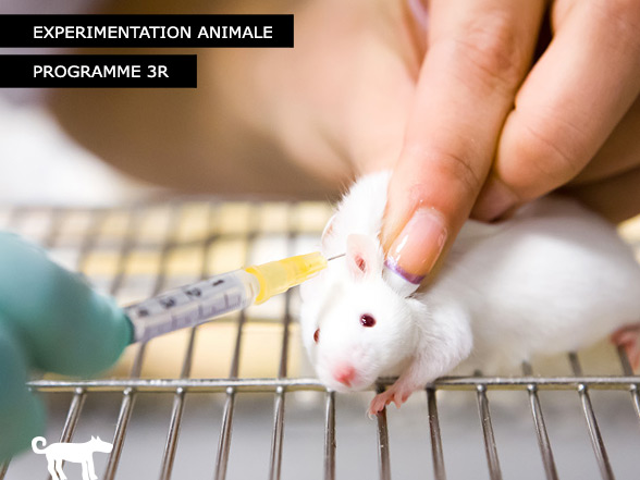 Expérimentation animale - Programme 3R