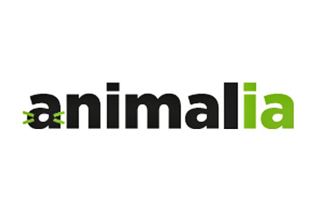 Assurances Animalia, sponsor officiel de la Journée des Chiens 2022