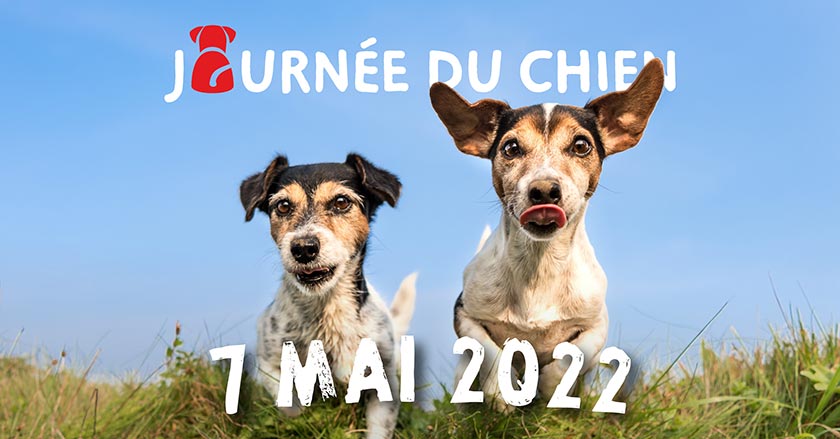 La journée du chien aura lieu le 13 mai 2023 à Monthey, Valais.