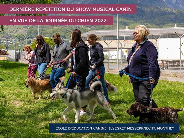 La troupe canin répète le Show musical canin - Journée du Chien 2022