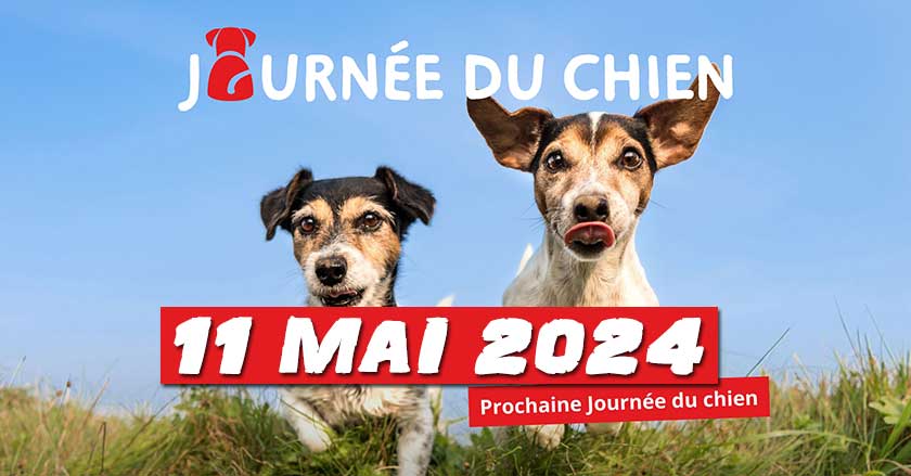 Les chiens auront leur journée le 11 mai 2024 à Monthey, Valais.