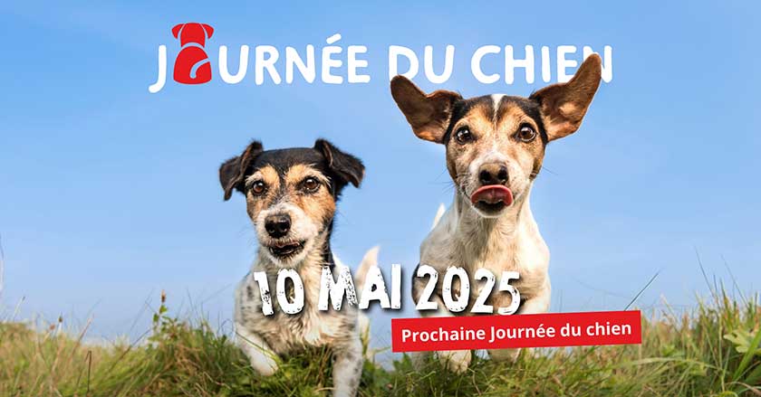 Les chiens auront leur journée le 10 mai 2025 à Monthey, Valais.