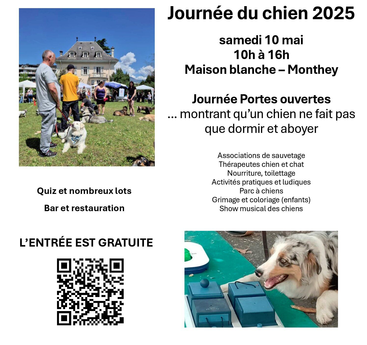 Les chiens auront leur journée le 10 mai 2025 à Monthey, Valais.