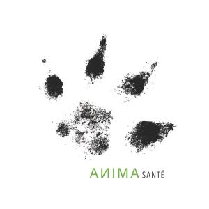 Logo Animasanté