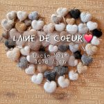 Logo laine de coeur