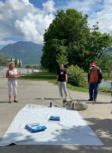 Ilsegret, l’organisatrice, explique que les Jeux intelligents pour les chiens représentent une mesure anti-Alzheimer, tout comme pour les humains, car ces exercices stimulent la mémoire.